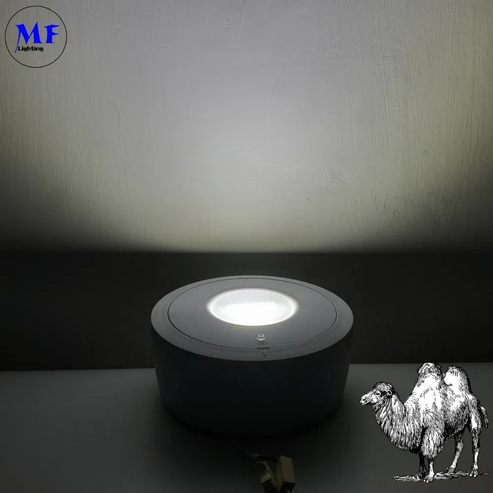 Panel Down Light LED Panika awaryjna ucieczka znak wyjścia światło IP65 Bateria zapasowa ponownie ładowalna Szkoła publiczna Szpital Biały 3