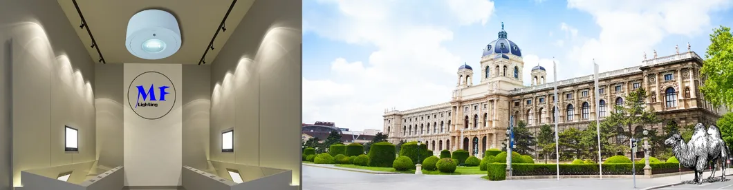 Panel Down Light LED Panika awaryjna ucieczka znak wyjścia światło IP65 Bateria zapasowa ponownie ładowalna Szkoła publiczna Szpital Biały 18