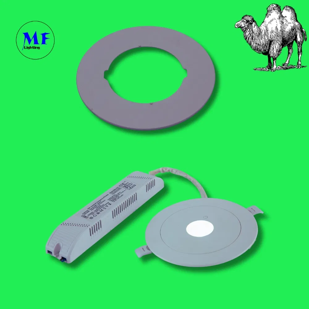 Światło awaryjne typu downlight, znak ewakuacyjny, 3h, IP65, zasilanie bateryjne, do sklepu, warsztatu, centrum handlowego 1