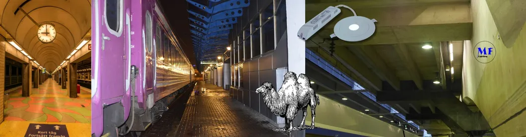 Światło awaryjne typu downlight, znak ewakuacyjny, 3h, IP65, zasilanie bateryjne, do sklepu, warsztatu, centrum handlowego 10