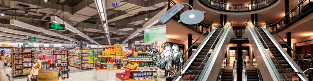 Światło awaryjne typu downlight, znak ewakuacyjny, 3h, IP65, zasilanie bateryjne, do sklepu, warsztatu, centrum handlowego 12