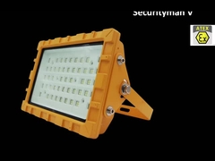IP66 IP67 Przeciwwybuchowa lampa uliczna LED z pyłoszczelną EX IECEX IK10 30W 50W 60W 80W 100W