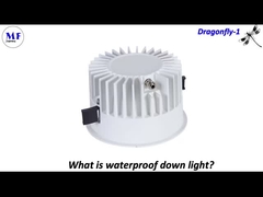MF Down Light Dragonfly-1
