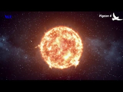 MF słoneczne światło uliczne gołębia 4 wideo