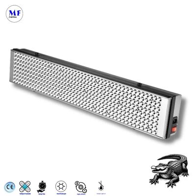 Factory Price 560mm High-Output 200W Industrial-Grade LED UV Curing Light with 240 LEDs for Automotive Paint & 3D Printing Resin Fast Curing