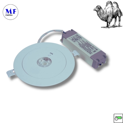 ABS PC IP43 Wnętrze 3W LED Zaaładowalna awaria Backup Wstrzymane światło w dół 3h Długotrwałość 230V LED światło awaryjne dla biura Hotel Fabryka
