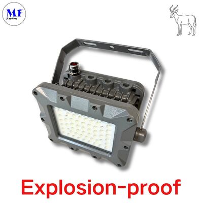 IP66 50W 75W 100W 150W 200W 240W 300W 350W 400W EATON Oil Minging Offshore Zone Wybuchoodporne Światło LED Wybuchoodporne Atex Światło powodziowe